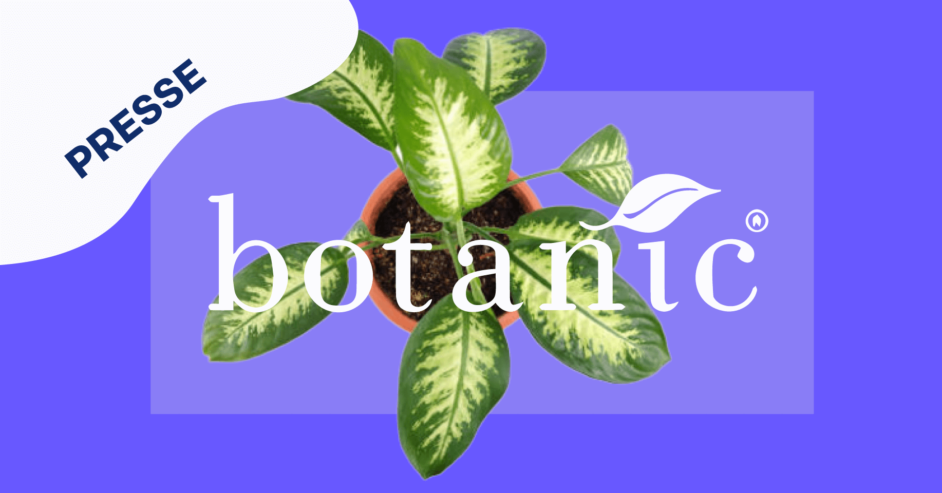 Visuel Digitalisation de la carte de fidélité chez Botanic : Le bilan