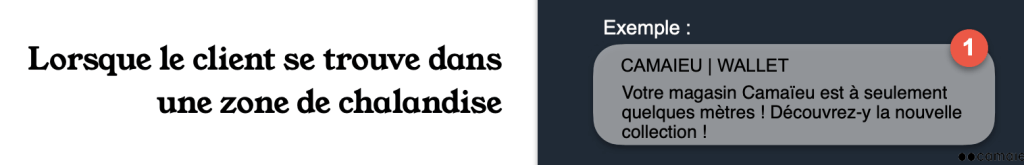notification camaieu par zone de chalandise