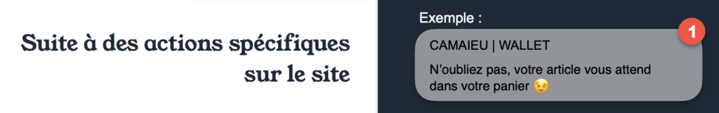notification push camaieu pour relance